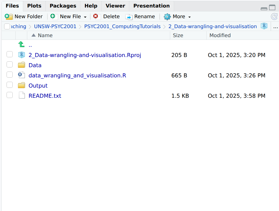 Project Organisation