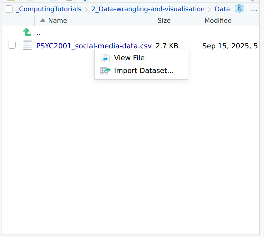 Option to view the file contents within RStudio