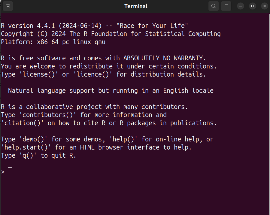 This is what using R without RStudio looks like. Noone wants that.